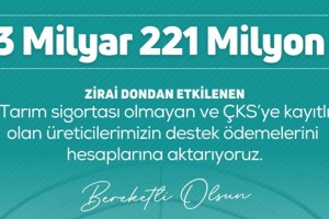 Zirai Don Destek Ödemeleri Başladı